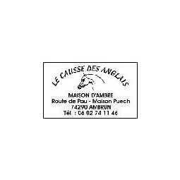 Tampon Trodat Printy 4929