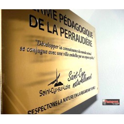 GRAVURE LAITON 30x20cm