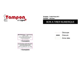 2 TamponsTrodat Printy 4913...