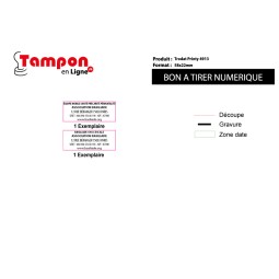 2 Tampons Trodat Printy 4913