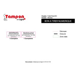 2 Tampons Trodat Printy 4913